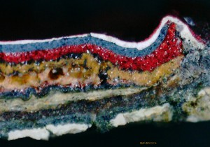 Mikroskop Querschliff mikroskopisch Restaurator dammann Felsch Restaurierung GbR Farbe Farbgutachten